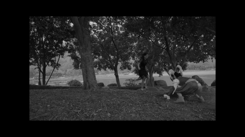 Paper Cranes — still 14
