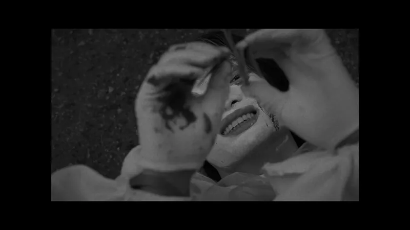 Paper Cranes — still 6